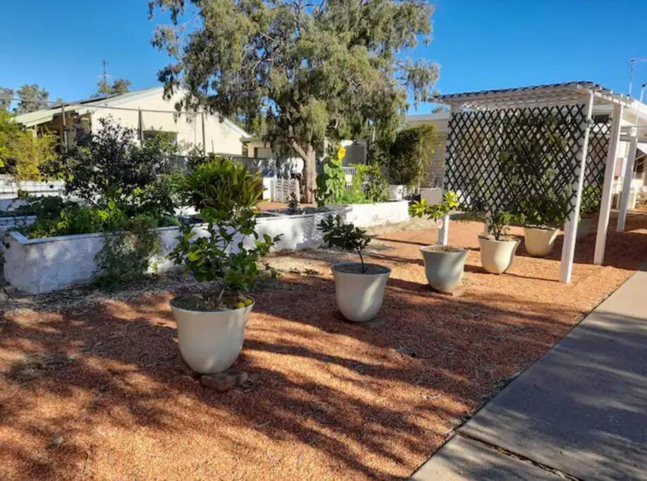 Lavender Cottage - At Home In Lightning Ridge Extérieur photo